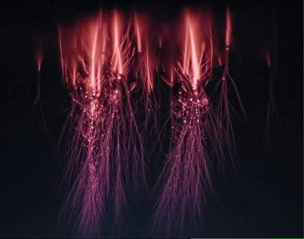 Tóm gọn “hung thần vũ trụ" khiến phi hành gia ám ảnh không ngừng