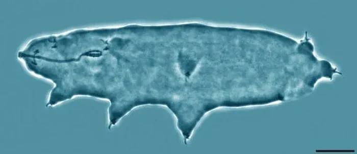 “Quái vật bất tử” trỗi dậy giữa sông băng, rã đông xong... sống tiếp