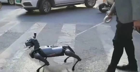 Thượng Hải “gây sốt” với clip 12 giây, tưởng chừng ở thế giới khác