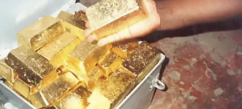 Làm cỏ ven vách đá, bất ngờ vấp trúng “kho báu” khủng toàn vàng