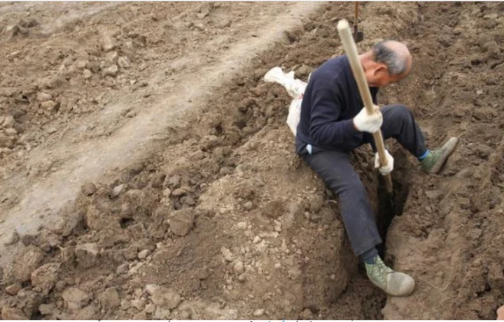 Trộm đồ trong mộ vị quan nhà Tống, lão nông bất ngờ hứng tai họa