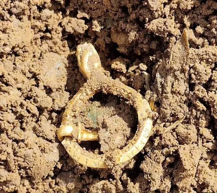 Dò kim loại trên cánh đồng, bất ngờ tìm thấy 'kho báu'