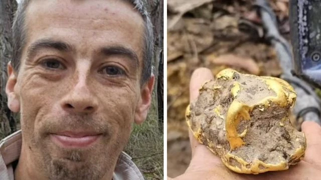 Đào gốc cây mục thấy kho báu, người đàn ông đổi đời trong chớp mắt 