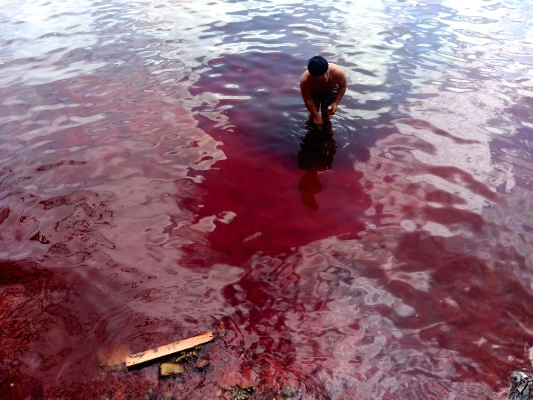 'Thủy triều đỏ' xuất hiện tại Kiên Giang: Cảnh báo nguy hiểm!