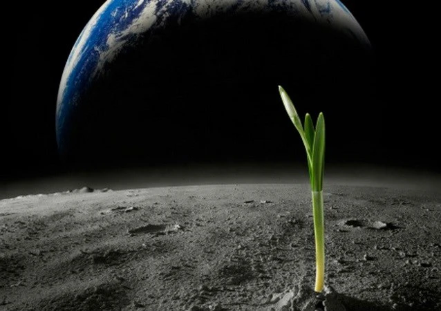 Xác định được sự sống ngoài hành tinh rất gần Trái Đất