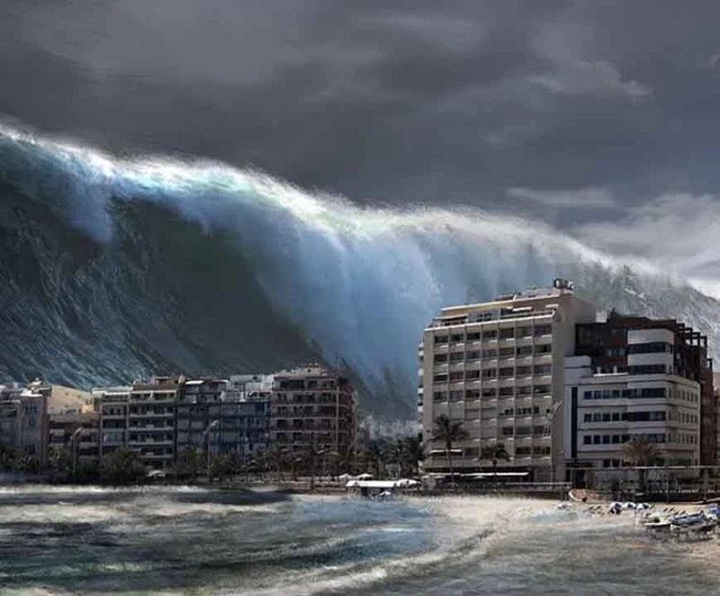 Soi công nghệ có thể cứu mạng người trước sóng thần trong vài giây