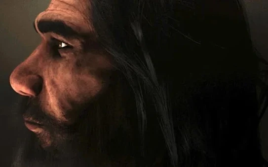 Phát hiện 2 bộ hài cốt người khác loài, lộ bí mật đáng sợ