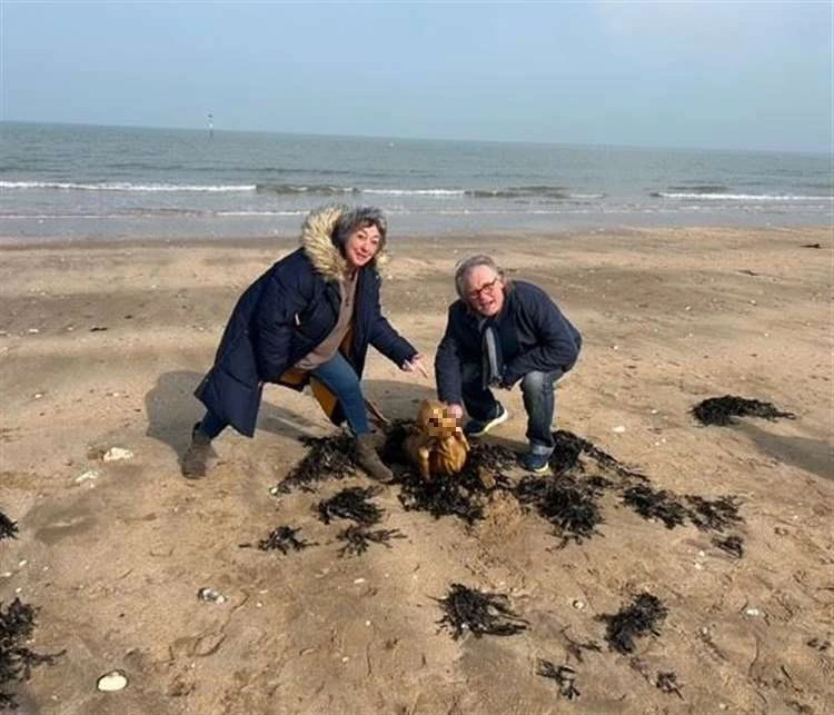 "Sinh vật ngoài hành tinh" bất ngờ lộ diện, dân ùn ùn đến xem