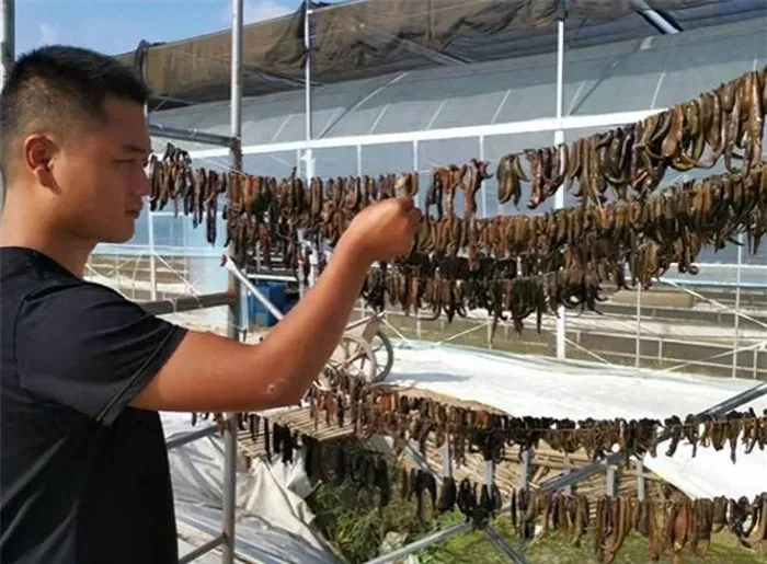 Loài động vật ở Trung Quốc xem là “vàng mềm": Việt Nam không thiếu!