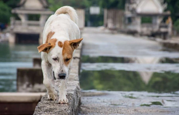 Xoắn não 5 bí ẩn khoa học muôn đời không giải mã 