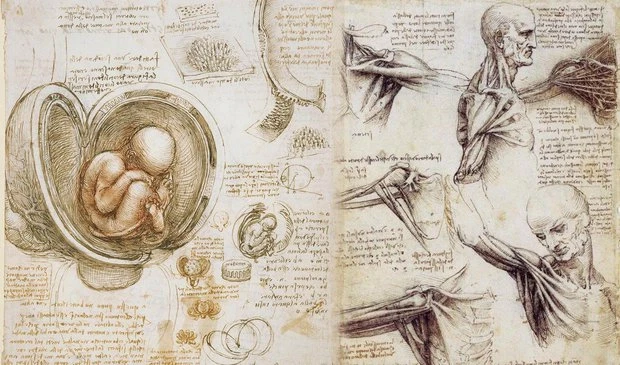 Giật mình tiên đoán “như thần” của Leonardo da Vinci về tương lai