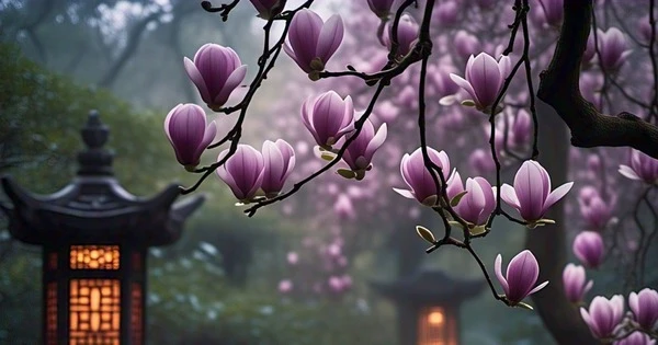 Thần Tài rót lộc, 3 tuổi ôm khối vàng khủng nửa đầu năm 2025