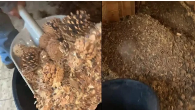 Hì hục sửa nhà cũ, bàng hoàng phát hiện “kho báu” vô song 