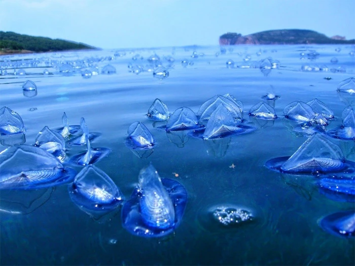 Bí ẩn 4 hiện tượng kỳ quái nhất Trái Đất, khoa học bó tay