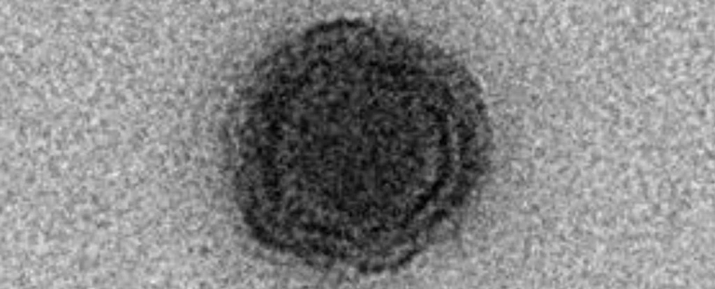 Virus 'thần nước 'mang bộ gene khiến giới khoa học sửng sốt