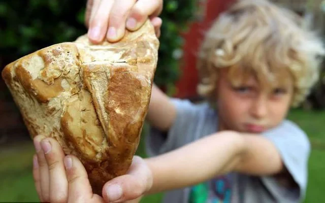 Vô tình nhặt được “kho báu" trên biển, cậu bé đổi đời trong nháy mắt