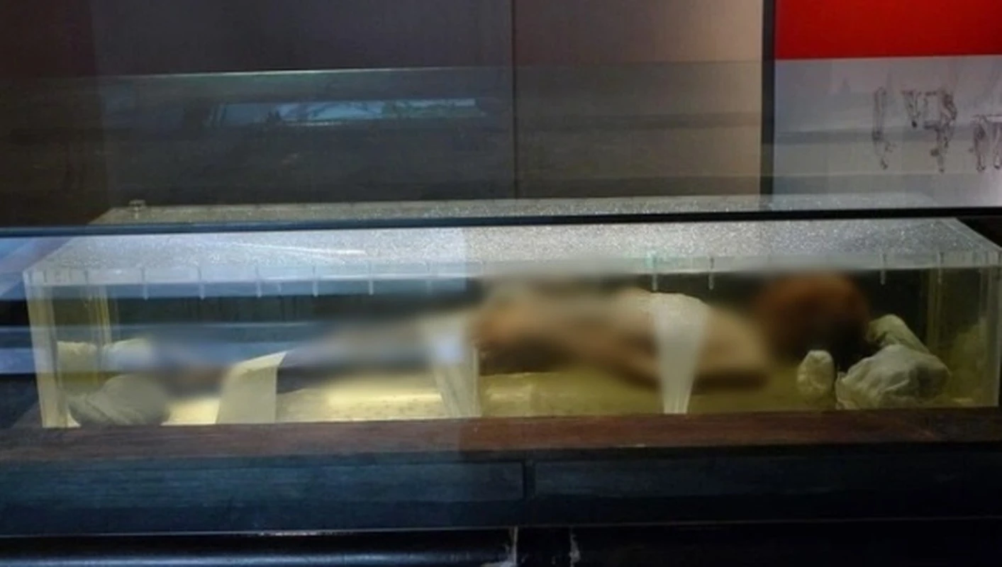 Mở mộ cổ, bất ngờ thi thể mỹ nhân 2.000 tuổi... “thở dài”