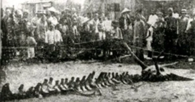 4 bí ẩn khó giải nhất tại Trung Quốc, chuyên gia nhũn não