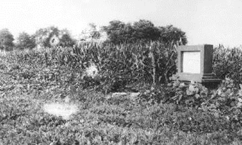 Đi chăn cừu, bất ngờ đụng trúng “kho báu” 3.400 năm tuổi