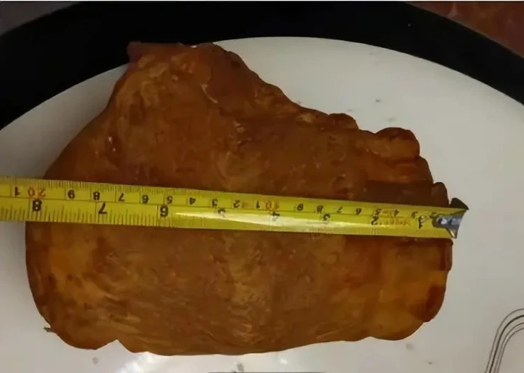 Dọn nhà nhặt được bong bóng cá khô, ai ngờ là báu vật tiền tỷ