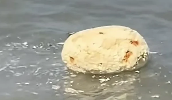 Nhặt được "vật thể lạ" ở biển, thanh niên chớp mắt đổi đời