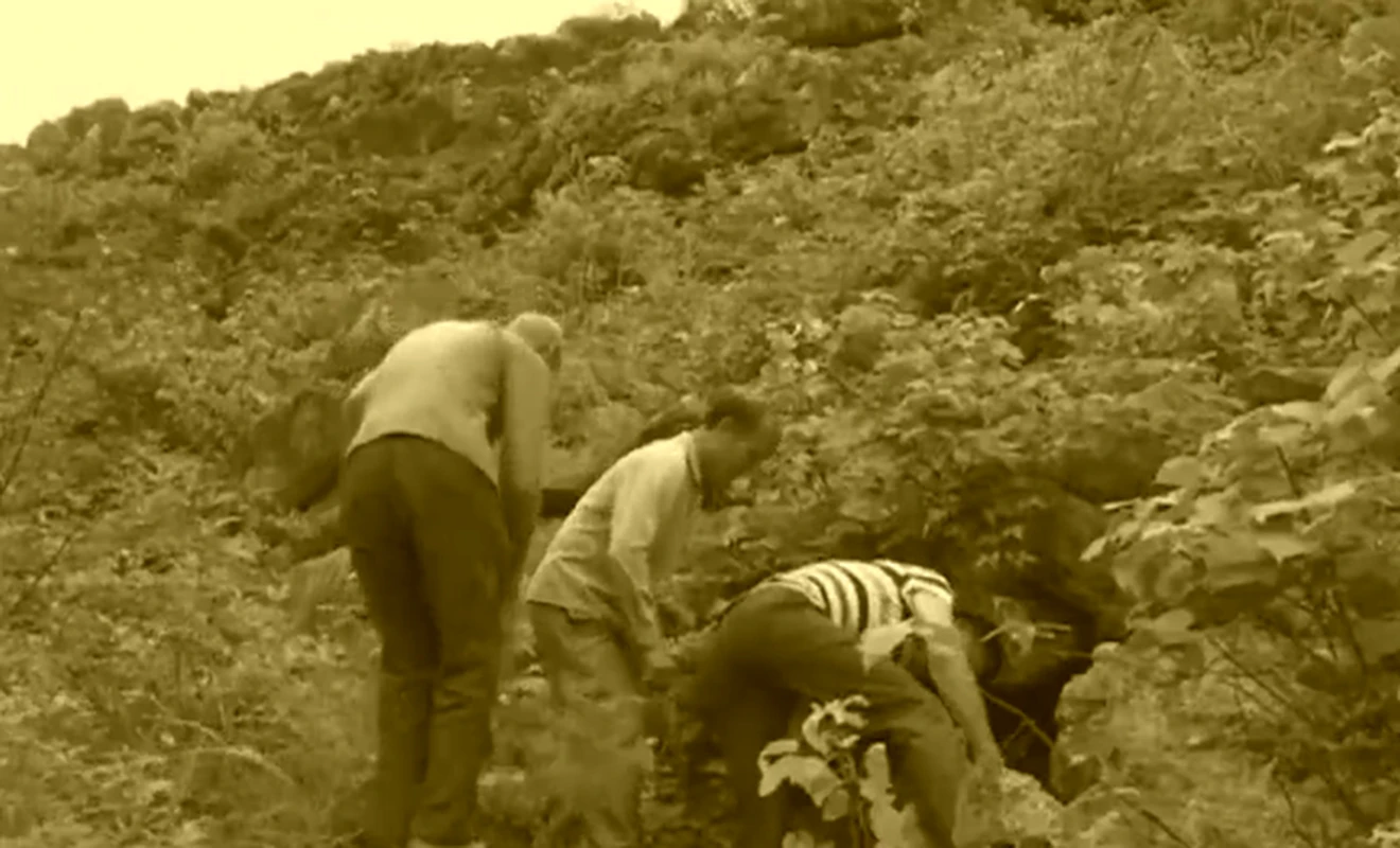 Đi săn cáo, lão nông vô tình đụng trúng “kho báu” tiền tỷ