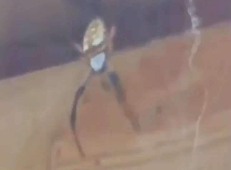 Mở cửa đi làm, hốt hoảng trông thấy cảnh tượng gây ám ảnh 