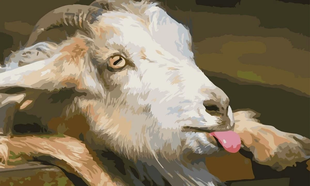 Tuần mới (24/4 - 30/4): 3 con giáp nhận nhiều tài lộc, làm ăn vượng phát