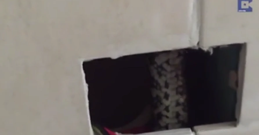 Khói bốc ra từ ổ điện, rụng rời thấy quái thú nấp bên trong