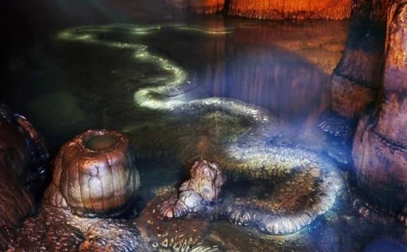 'Rồng thật' gần 13 m bất ngờ xuất hiện, chuyên gia choáng váng