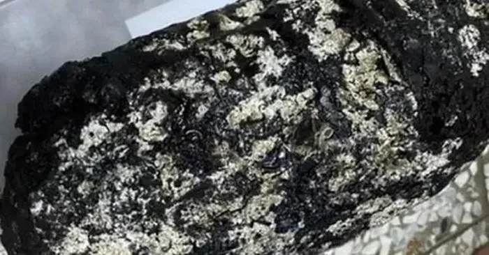 Nhặt được 'cục đá lạ', ngư dân đổi đời sau một đêm 