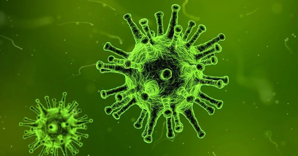 Bất ngờ sự hồi sinh của virus “thây ma” 48.500 năm tuổi