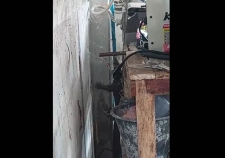 Tái mặt phát hiện 'quái thú' ẩn nấp trong nhà bếp