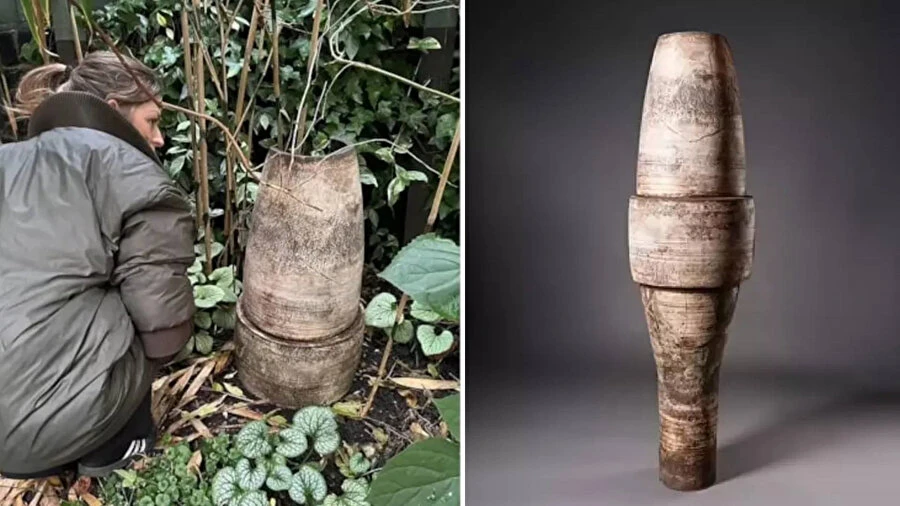 Đấu giá chậu hoa vỡ trong vườn, đại gia hét con số không tưởng 