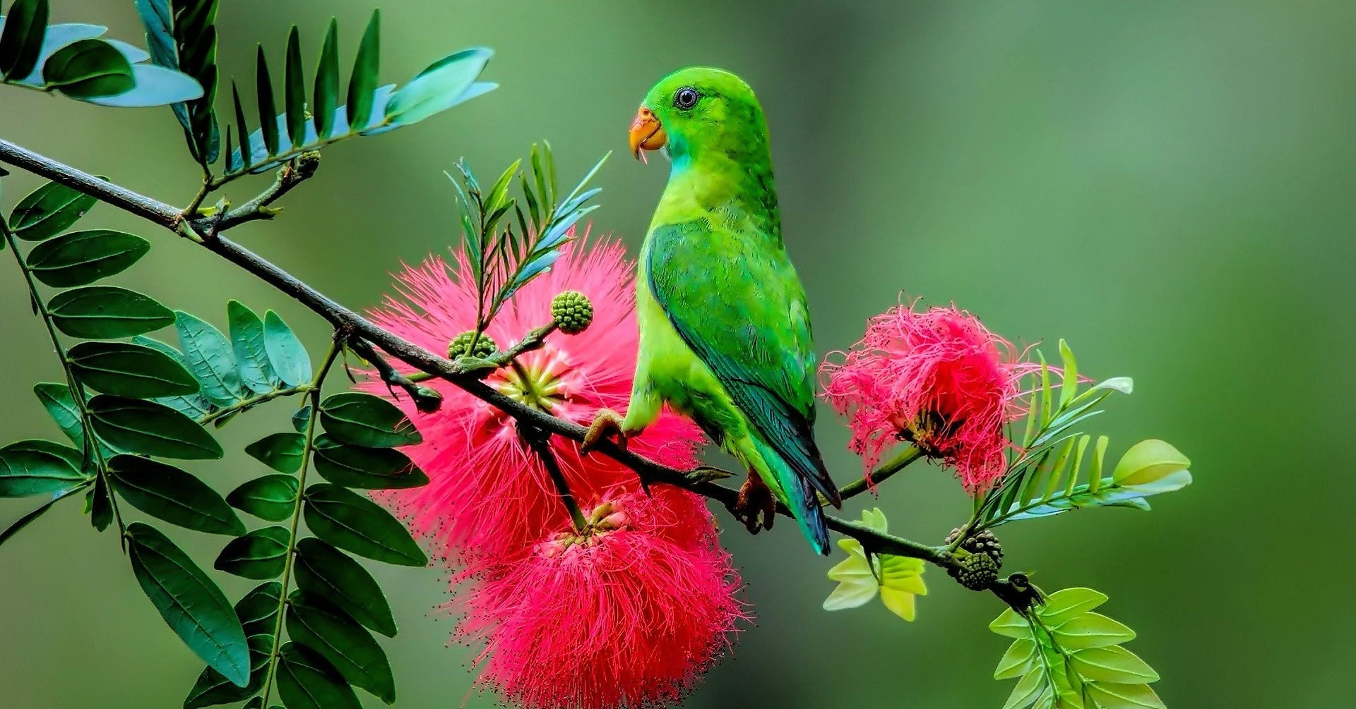 Làm giàu vào tháng 11, 4 con giáp bứt phá đổi đời, tiền tài sung túc