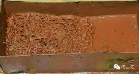 Khai quật mộ cổ dưới nước, chuyên gia thất kinh khi thấy thứ này