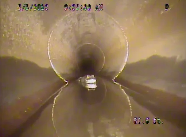 Lục soát ống cống, công nhân suýt trụy tim khi thấy "quái vật" hiện hồn 