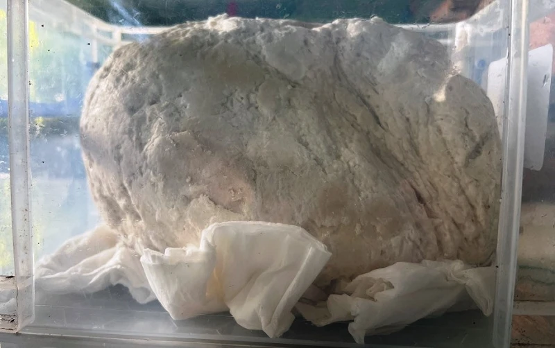 Vật lạ nghi long diên hương ở Huế quý - hiếm - đắt giá cỡ nào?