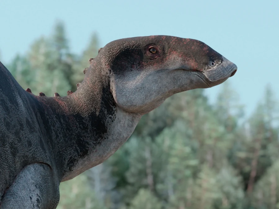 Phát hiện hoá thạch quái thú 72 triệu năm trước, chuyên gia đau đầu