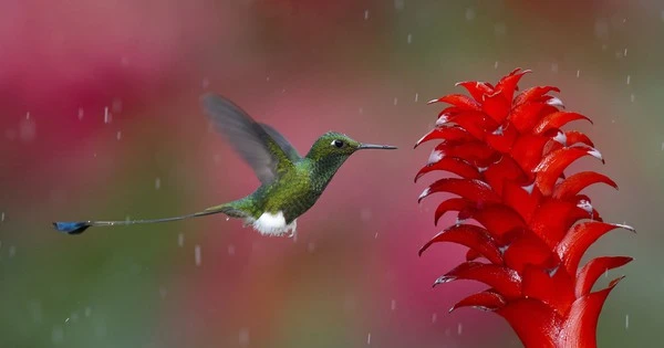 4 con giáp không phải nghèo lâu, cuối năm 2023 tài lộc cực khấm khá