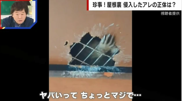 Thấy “bàn tay tái mét” thò ra từ trần nhà, gia chủ sợ vỡ mật 