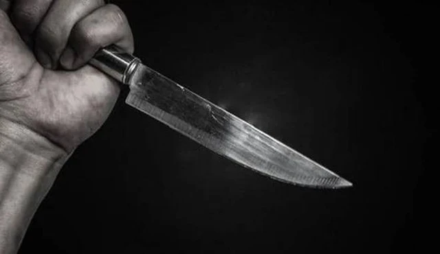 Người đàn ông truy sát 2 mẹ con hàng xóm rồi tự tử