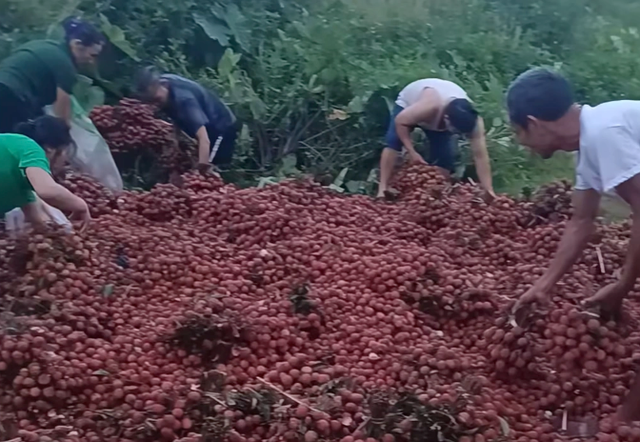 Hình ảnh cắt từ clip. capture-4535.png