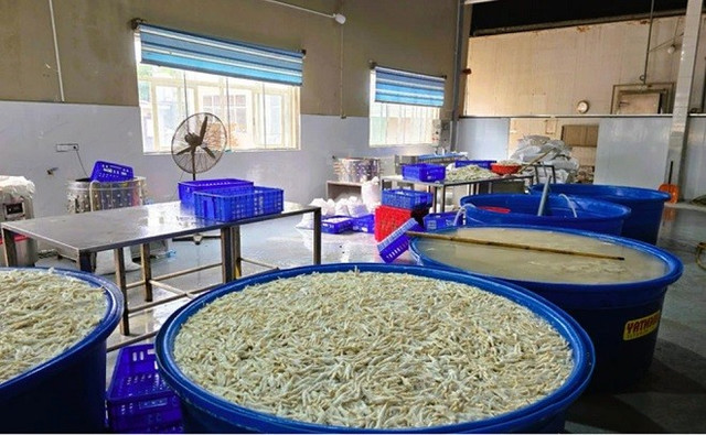 Số chân gà ngâm hóa chất bị phát hiện tại kho đông lạnh Thanh Bình. 5.jpg