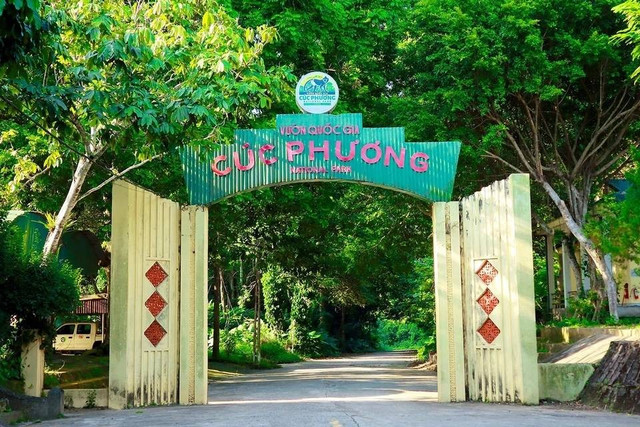 Vườn quốc gia Cúc Phương nơi xảy ra sự việc. cp1-3614-1724252015-fotor-20250816143912.jpg