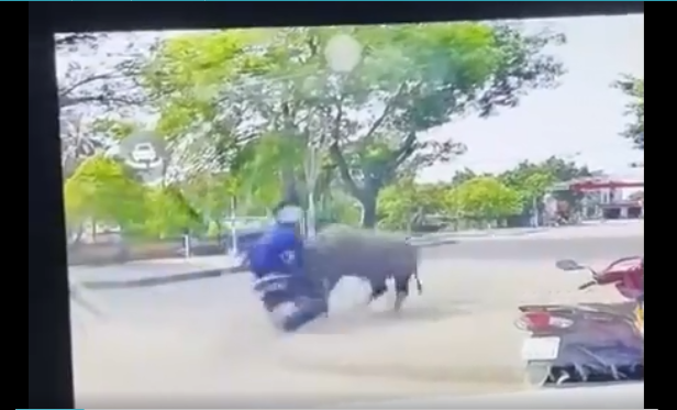 Nơi xảy ra sự việc. Ảnh cắt từ clip capture.png