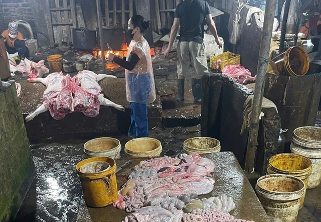 Phát hiện cơ sở giết mổ gần 3 tấn thịt lợn nhiễm dịch tả