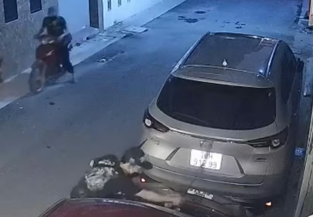 2 kẻ gian tháo cần gạt nước ô tô. Ảnh cắt từ clip capture-9506.png
