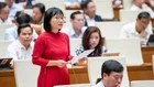 ĐBQH: Không thể phát hiện người tài chỉ bằng hồ sơ
