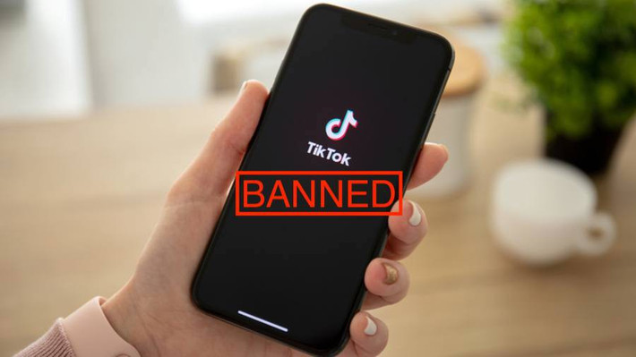 Hiện tại Bộ CNTT Ấn Độ đã yêu cầu phía nhà phát triển ứng dụng Tiktok giải trình cụ thể về cách thu thập dữ liệu của người dùng và giải thích chi tiết về các biện pháp để ngăn chặn, quản lý những nội dung tục tĩu trên Tiktok.